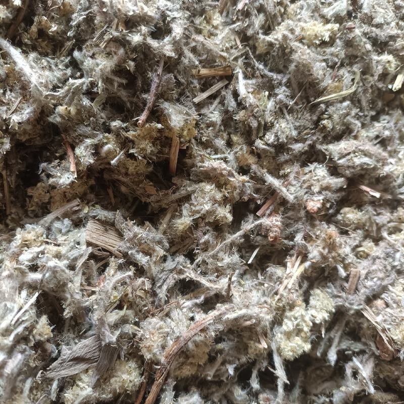 冷背药材佛耳草批发佛耳草新货佛耳草一公斤包邮