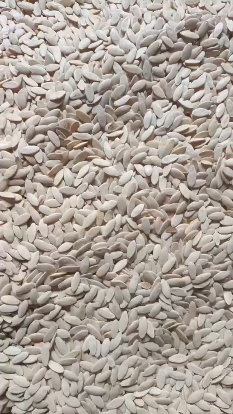 黄瓜子新货黄瓜子批发黄瓜子产地直发