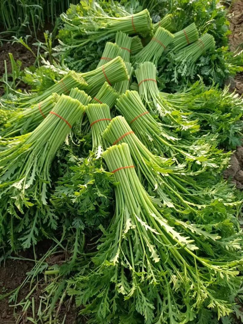 上海青青菜白菜生菜代办一条龙服务