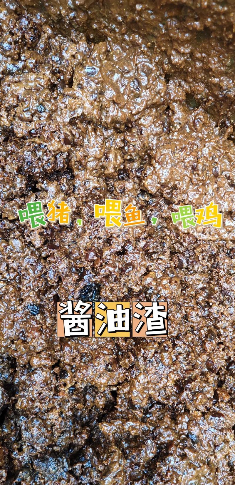 酱油渣，喂鱼天花板。