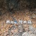 酱油渣，喂鱼天花板。