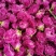 平阴玫瑰鲜花冠
