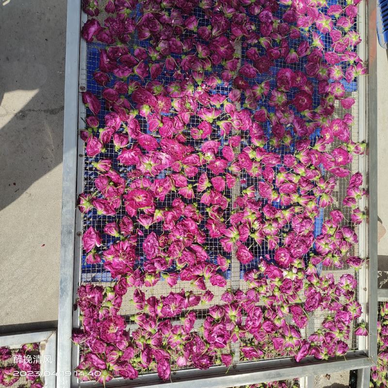 平阴玫瑰鲜花冠