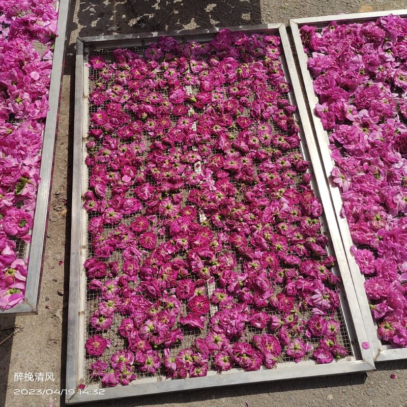 平阴玫瑰鲜花冠