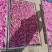 平阴玫瑰鲜花冠