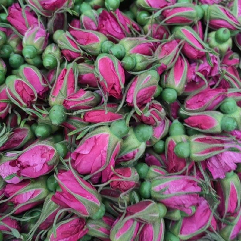 平阴玫瑰鲜花蕾