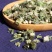 中药材益母草新品干货益母草包邮中药材益母草泡益母草茶多