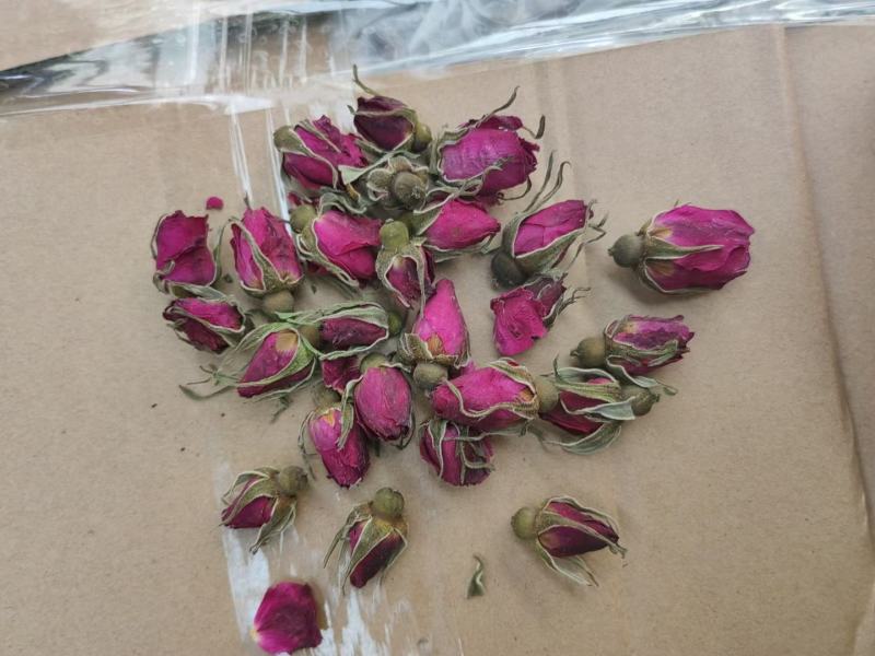 平阴玫瑰鲜花蕾