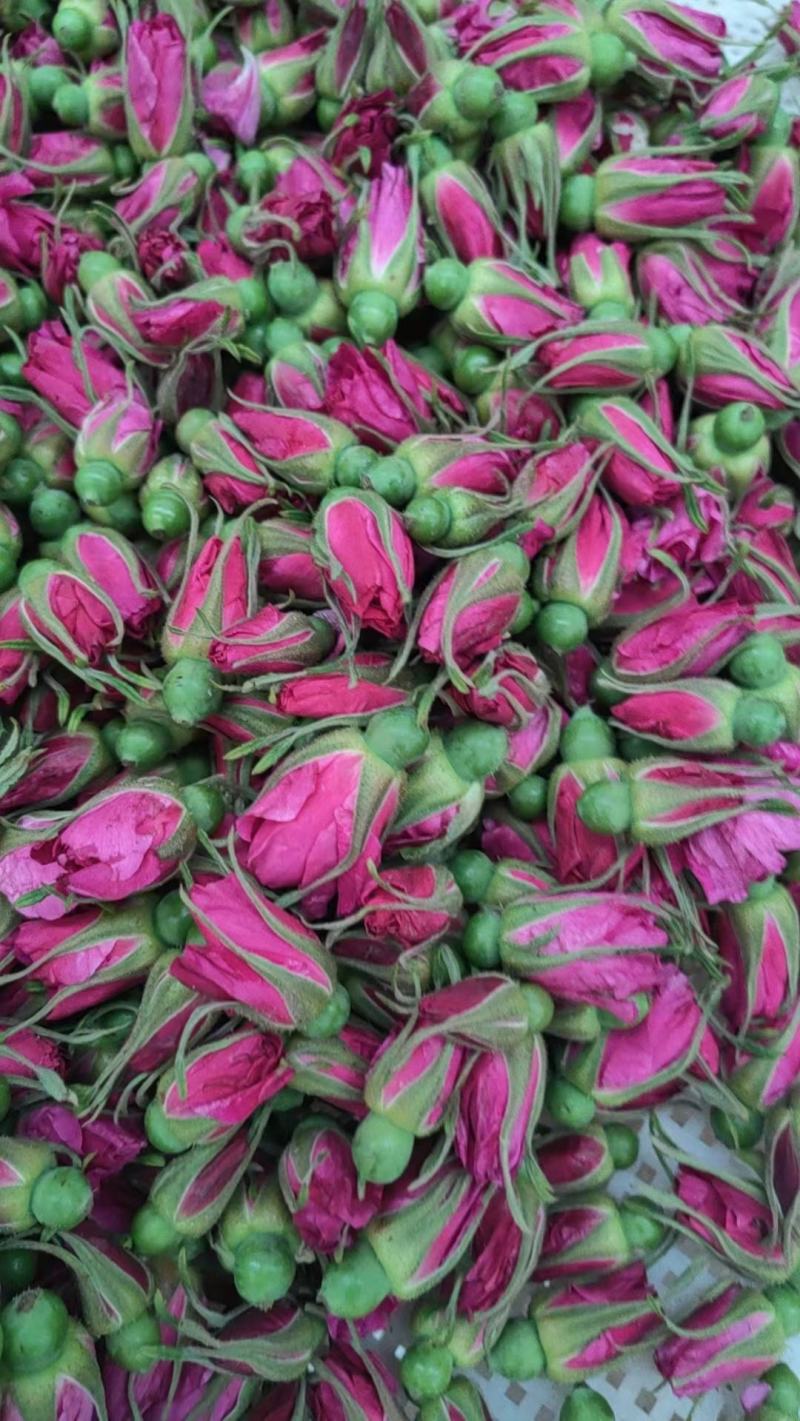 平阴玫瑰鲜花蕾