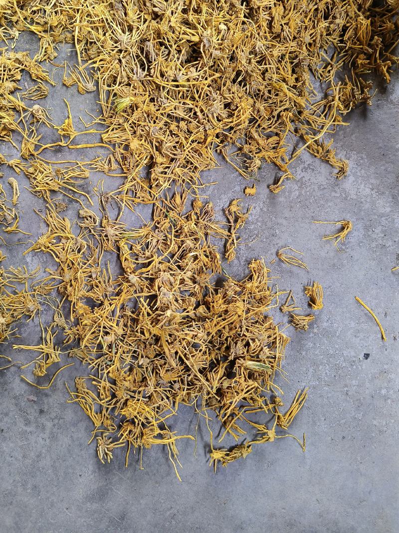 麦冬头子