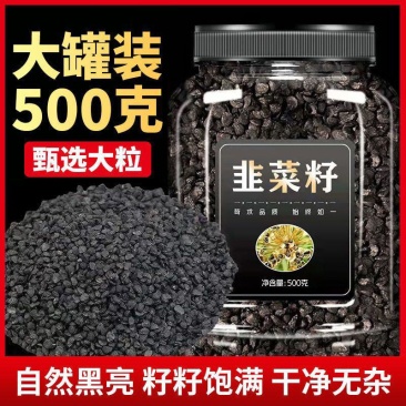 韭菜籽中药材韭菜子粉持男性久大宽叶红根生韭菜籽茶非炒熟泡