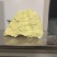 石硫磺产地广西自然形成可食用的工业硫磺，纹理清晰对接药厂