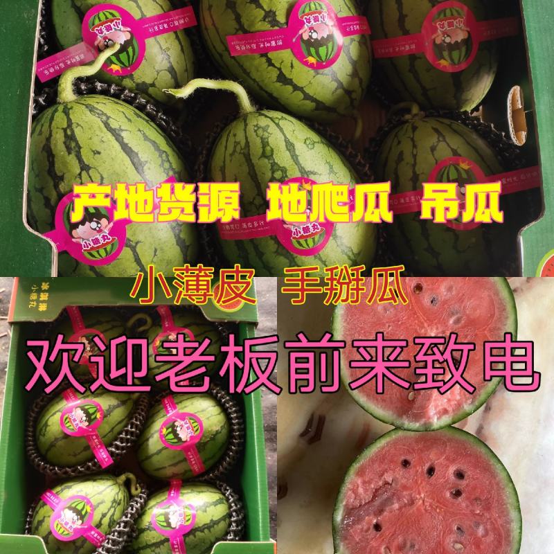 2k地爬西瓜吊瓜《红绿间的乐趣》当然，西瓜是绿皮红壤