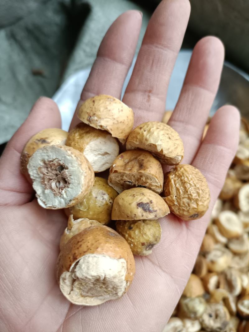 川楝子，产地四川，新货无杂，货源充足，欢迎选购