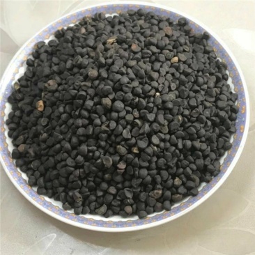 黑牵牛子干货黑丑白丑白牵牛中药材欢迎选购！