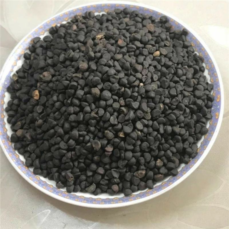 黑牵牛子干货黑丑白丑白牵牛中药材欢迎选购！