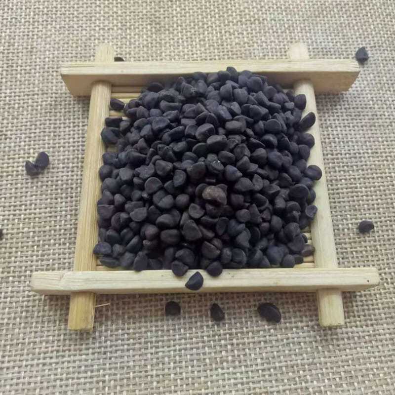 黑牵牛子干货黑丑白丑白牵牛中药材欢迎选购！