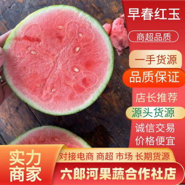 江苏红玉西瓜/4k西瓜/8424西瓜/美都西瓜大量供应