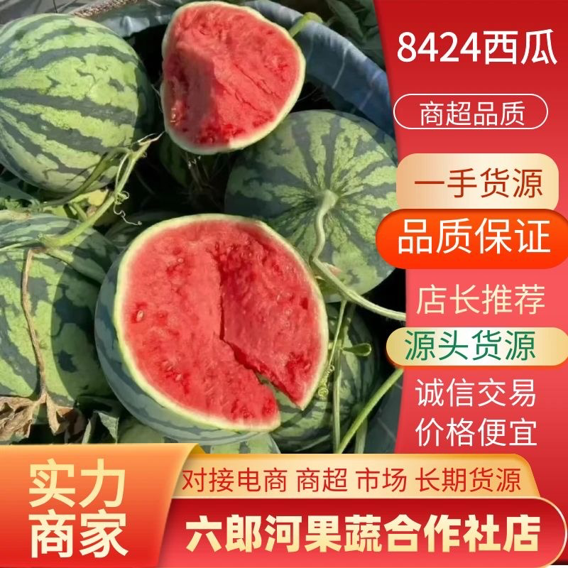 西瓜/8424西瓜江苏8424西瓜/美都西瓜/
