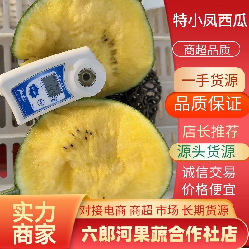 西瓜/东台特小凤西瓜/东台8424西瓜/特小凤西瓜/4k/