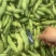 蚕豆青海绿蚕豆大青胡豆日本胡豆大青蚕豆供货稳定
