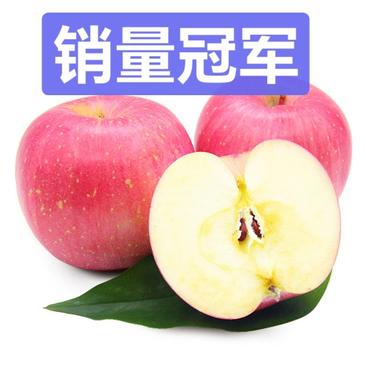 河北红富士苹果，专业品质保证，包售后服务，专做精品