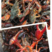 潜江优质鲜活小龙虾红虾干净保满价格美丽量大从优