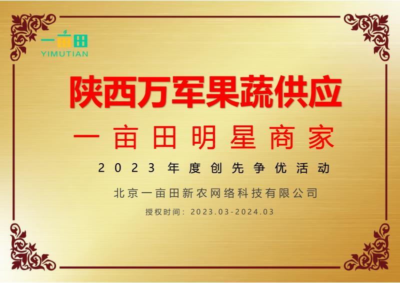 陕西甜王西瓜，大量上市，产地直供，陕西西瓜