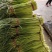 【荐】精品商丘蒜薹产地一手货源全国代发欢迎选购