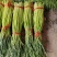 【荐】精品商丘蒜薹产地一手货源全国代发欢迎选购