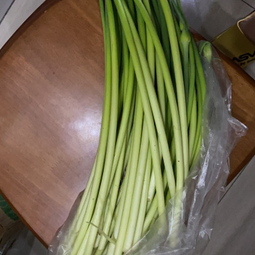 应季蒜苔