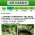 四聚乙醛杀蜗牛鼻涕虫蛞蝓福寿螺适用池塘庭院水稻花卉菜地