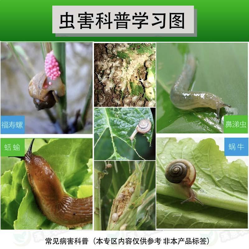 四聚乙醛杀蜗牛鼻涕虫蛞蝓福寿螺适用池塘庭院水稻花卉菜地