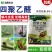 四聚乙醛杀蜗牛鼻涕虫蛞蝓福寿螺适用池塘庭院水稻花卉菜地
