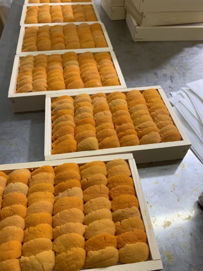 海胆，紫海胆，黄海胆，马粪胆