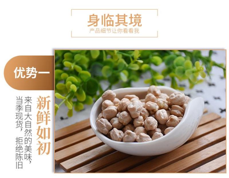 大颗粒鹰嘴豆批发天