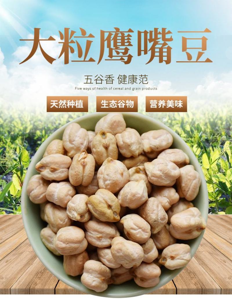 大颗粒鹰嘴豆批发天