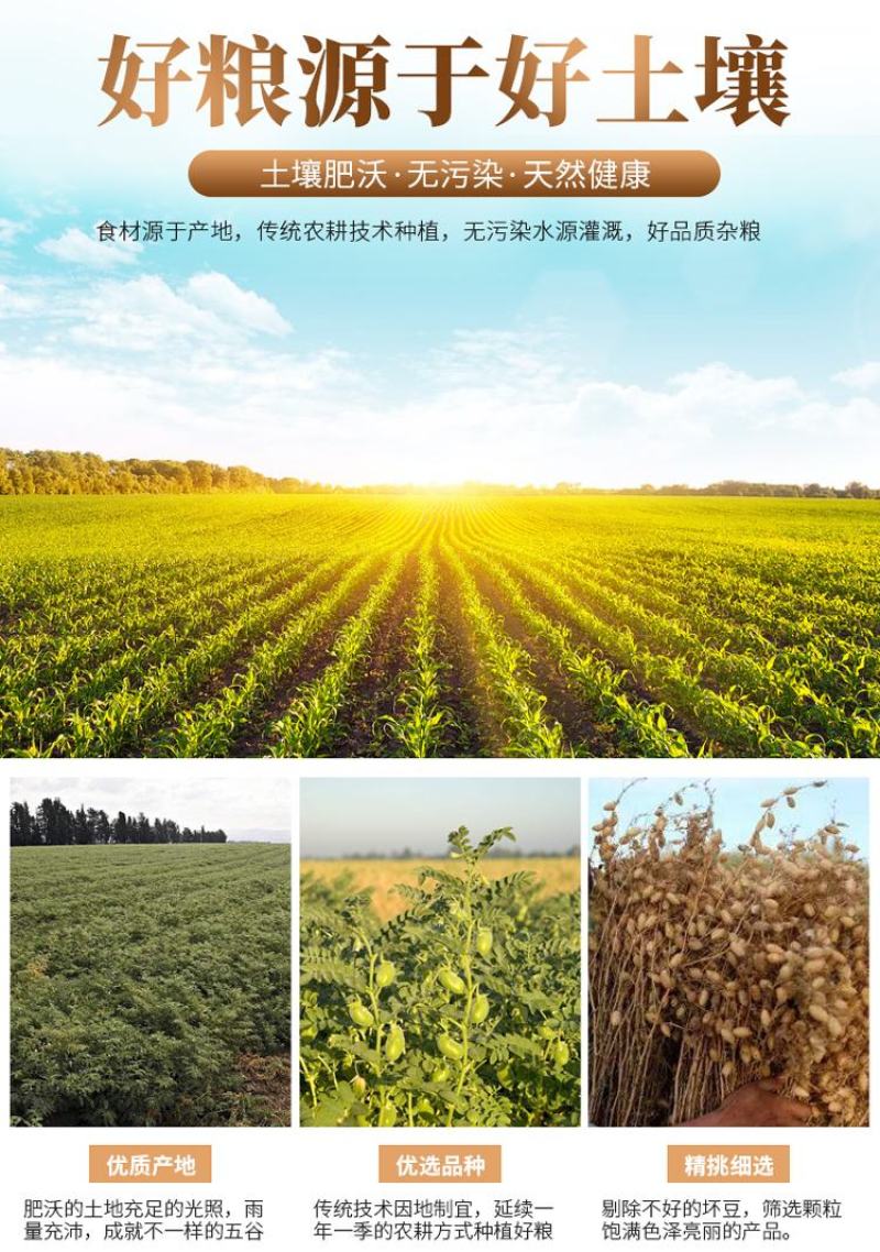 大颗粒鹰嘴豆批发天