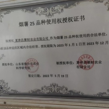 二十五到三十厘米