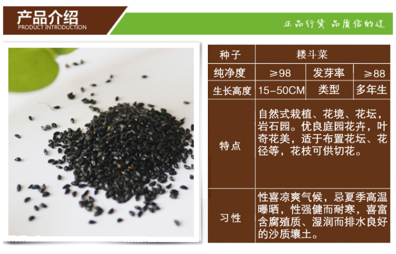 重瓣耧斗菜种籽子猫爪花四季易种冬季阳台盆栽室外庭院春秋播