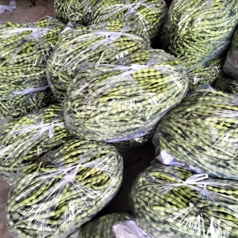 肉豆