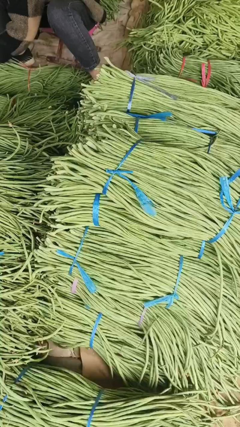 长豆角大量供应，质量非常好，代发全国各地，要的老板联系