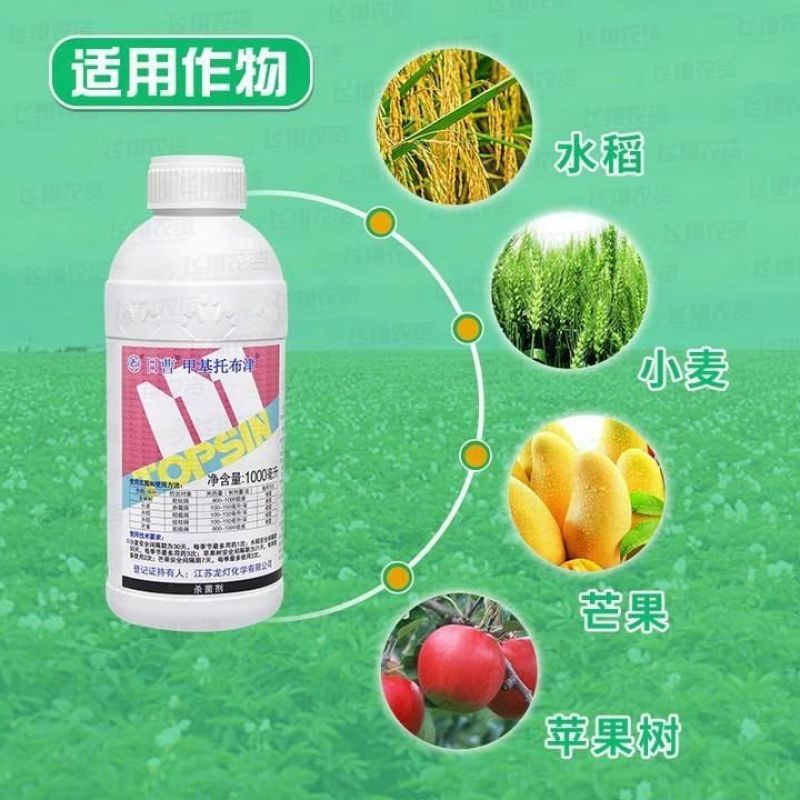 日曹甲托甲基托布津甲基硫菌灵轮纹病纹枯病炭疽病赤霉病农药