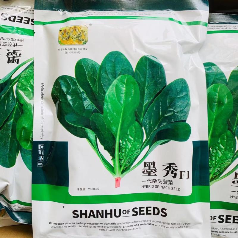 原装杂交菠菜种籽强势巨菠/墨秀春秋两季菠菜种子一代杂交