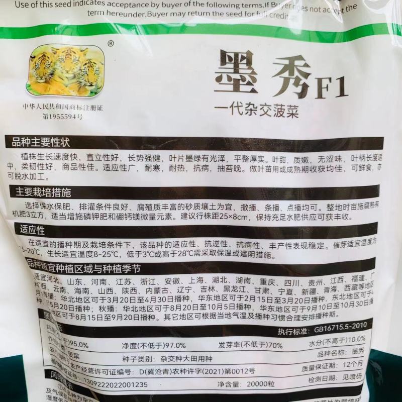 原装杂交菠菜种籽强势巨菠/墨秀春秋两季菠菜种子一代杂交