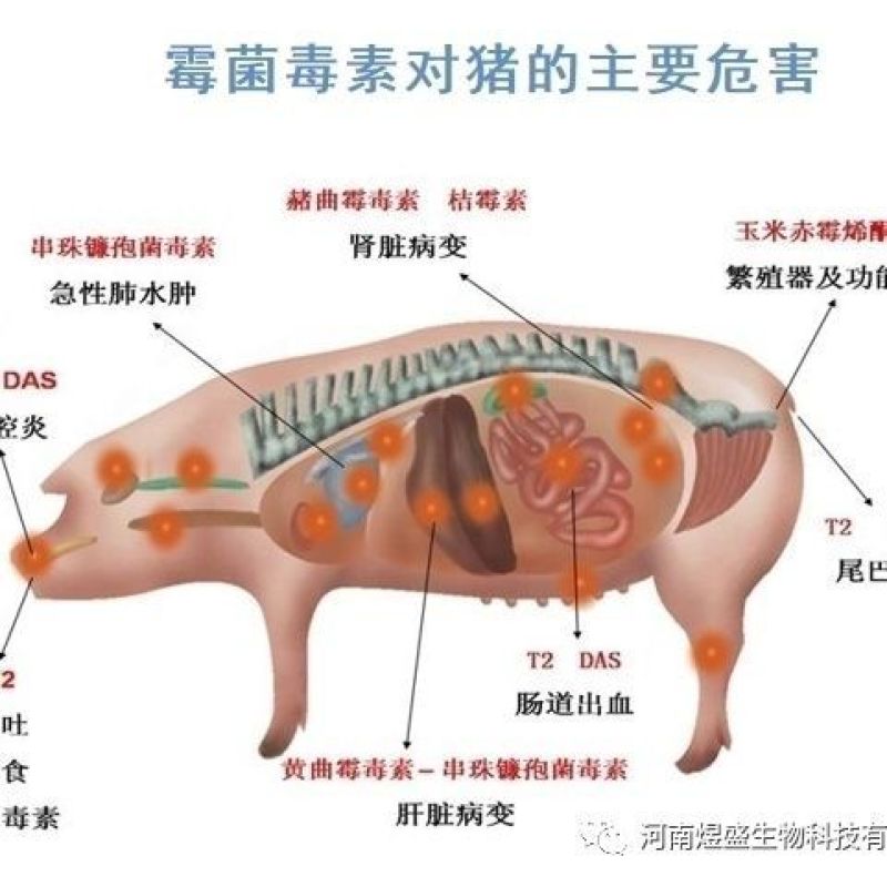 兽用脱霉剂猪牛羊用饲料添加剂玉米禽用脱霉净鸡鸭鹅预混料防