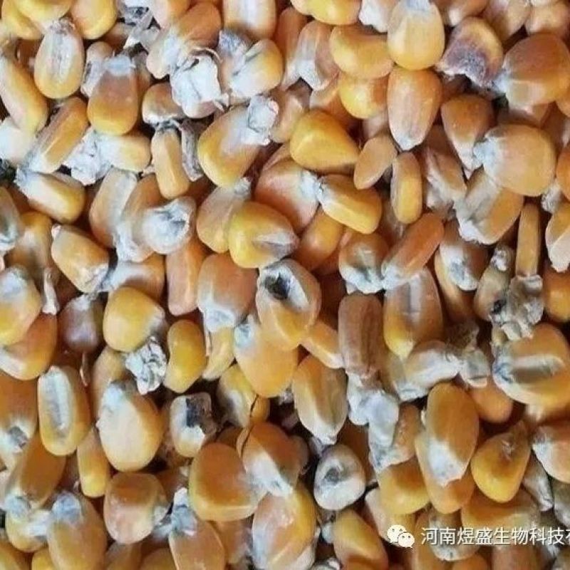 兽用脱霉剂猪牛羊用饲料添加剂玉米禽用脱霉净鸡鸭鹅预混料防