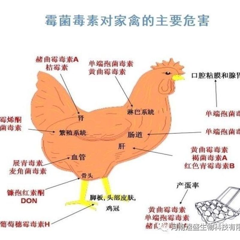 兽用脱霉剂猪牛羊用饲料添加剂玉米禽用脱霉净鸡鸭鹅预混料防