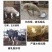 兽用脱霉剂猪牛羊用饲料添加剂玉米禽用脱霉净鸡鸭鹅预混料防