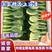 《小青菜，上海青》油菜对接商超食品厂，各种叶类菜代收代发